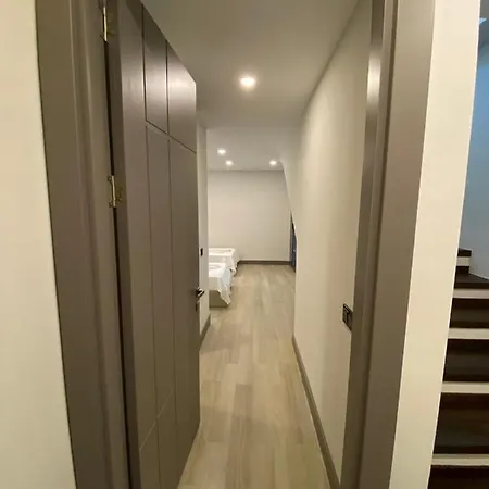 Daire Luxury Furnished Modern Architectural 2+1 Duplex House